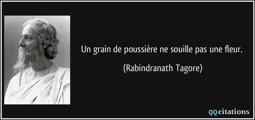 Un grain de poussière ne souille pas une fleur.  - Rabindranath Tagore