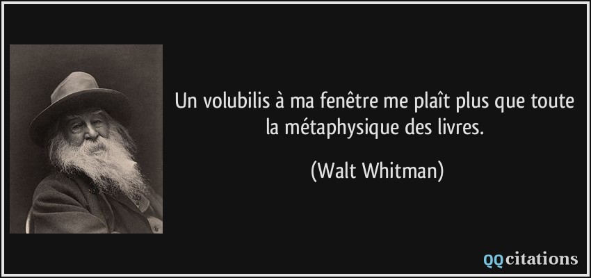 Un volubilis à ma fenêtre me plaît plus que toute la métaphysique des livres.  - Walt Whitman