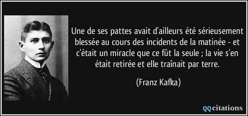 Une de ses pattes avait d'ailleurs été sérieusement blessée au cours des incidents de la matinée - et c'était un miracle que ce fût la seule ; la vie s'en était retirée et elle traînait par terre.  - Franz Kafka