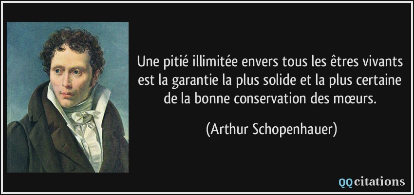 Une pitié illimitée envers tous les êtres vivants est la garantie la plus solide et la plus certaine de la bonne conservation des mœurs.  - Arthur Schopenhauer