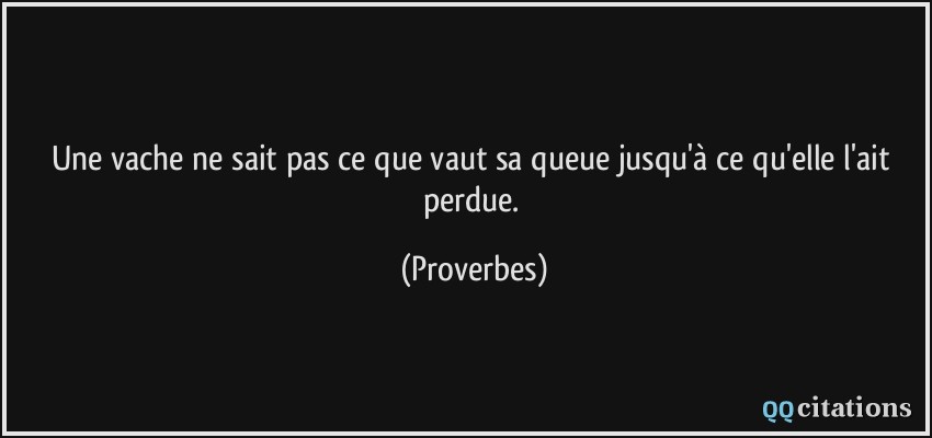 Une vache ne sait pas ce que vaut sa queue jusqu'à ce qu'elle l'ait perdue.  - Proverbes