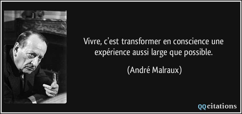 Vivre, c'est transformer en conscience une expérience aussi large que possible.  - André Malraux