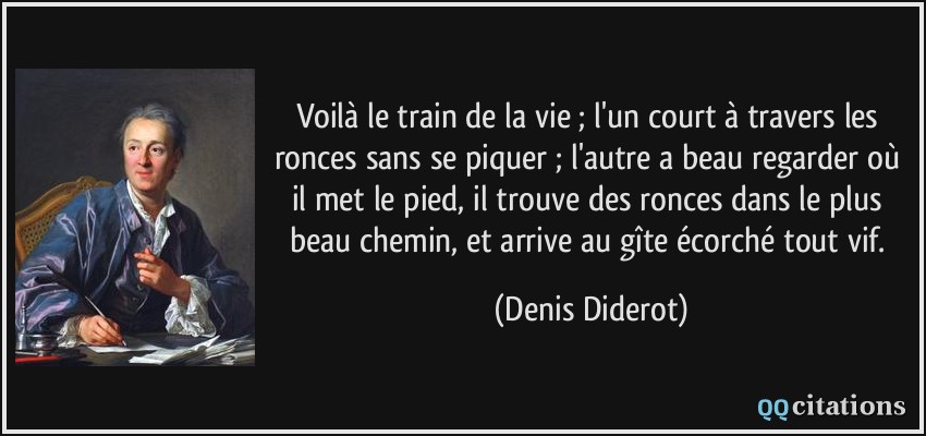 Voilà le train de la vie ; l'un court à travers les ronces sans se piquer ; l'autre a beau regarder où il met le pied, il trouve des ronces dans le plus beau chemin, et arrive au gîte écorché tout vif.  - Denis Diderot