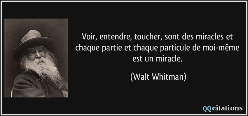 Voir, entendre, toucher, sont des miracles et chaque partie et chaque particule de moi-même est un miracle.  - Walt Whitman