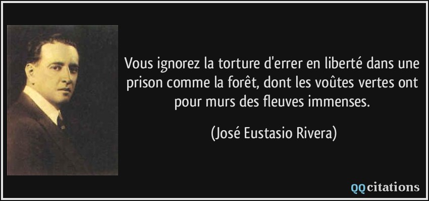 Vous ignorez la torture d'errer en liberté dans une prison comme la forêt, dont les voûtes vertes ont pour murs des fleuves immenses.  - José Eustasio Rivera