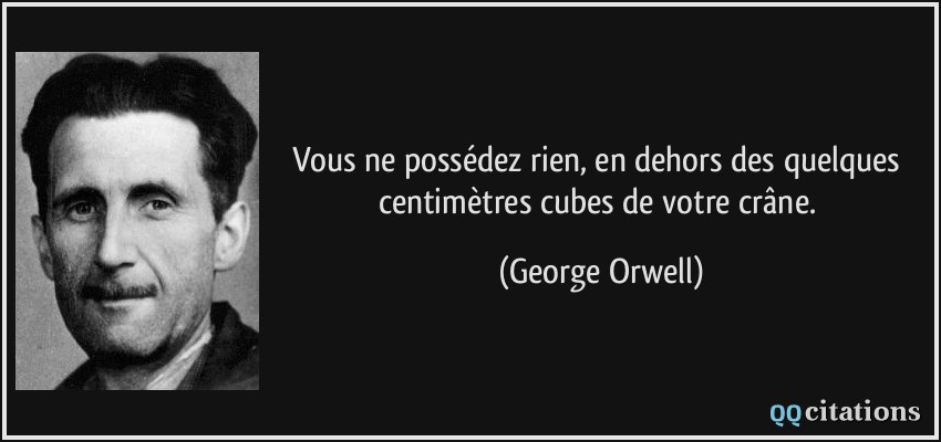 Vous ne possédez rien, en dehors des quelques centimètres cubes de votre crâne.  - George Orwell