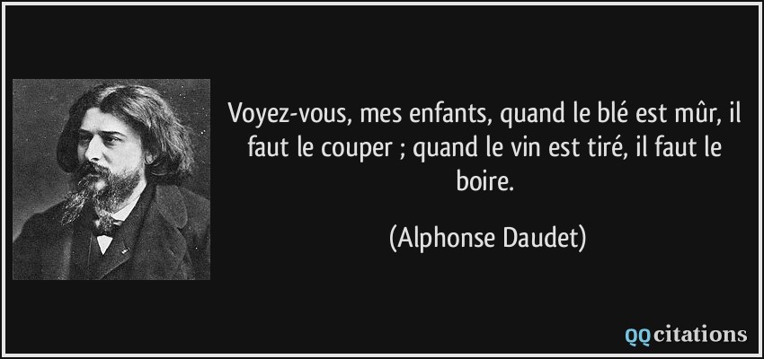 Voyez-vous, mes enfants, quand le blé est mûr, il faut le couper ; quand le vin est tiré, il faut le boire.  - Alphonse Daudet