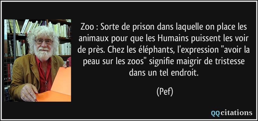 Zoo : Sorte de prison dans laquelle on place les animaux pour que les Humains puissent les voir de près. Chez les éléphants, l'expression 